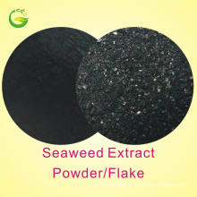 High Purity Seaweed Extract Fertilizer Foliar Fertilizer